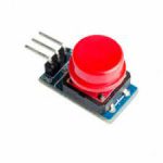 Big Button Module