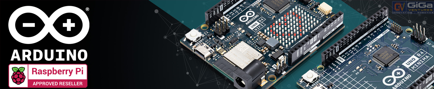 Raspberry Pi in India with NeoGiga