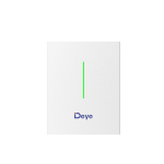 Deye RW-F10.2 10.2kWh energy storage India